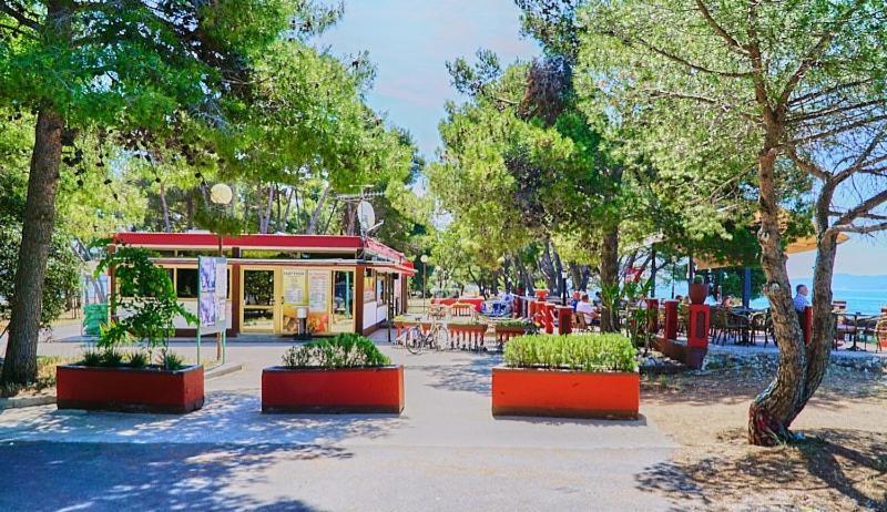 Naomi Daire Zadar Dış mekan fotoğraf
