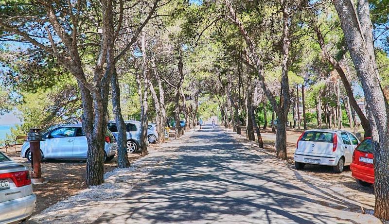 Naomi Daire Zadar Dış mekan fotoğraf